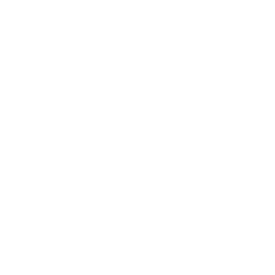 Feßler Komplettsanierung Logo